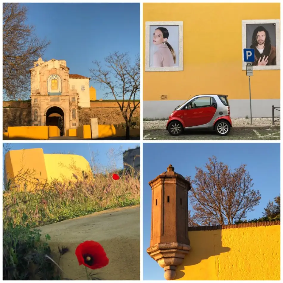 One Fabulous Photo Tip