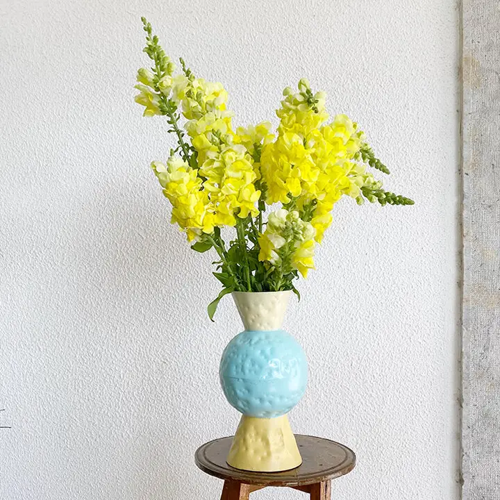 springfloweryellow