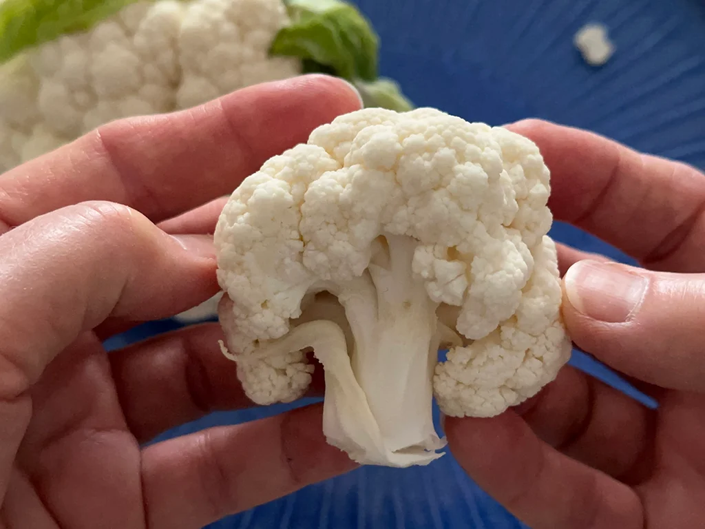 white tree cauliflower looks like a white tree