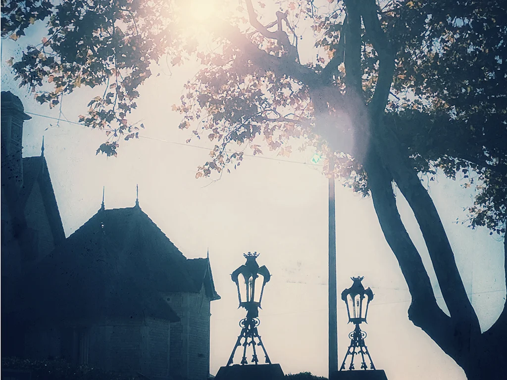 urban silhouette silhouette of buildings, city lamps and trees, silhouette photography