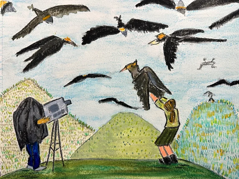 illustration, person photographing birds on a hill, creative hobby photographing