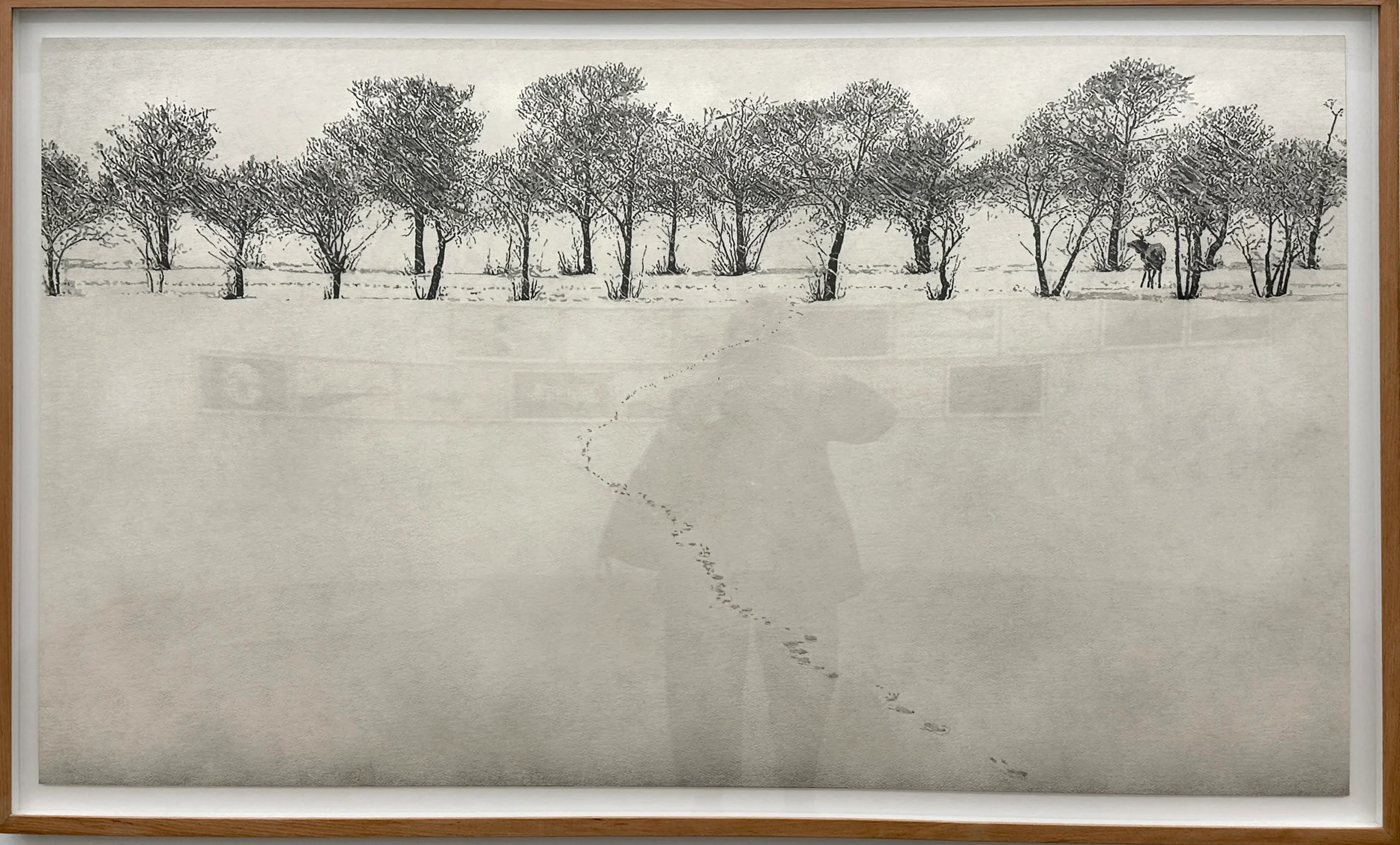 Eduardo Arbós, 50andRising