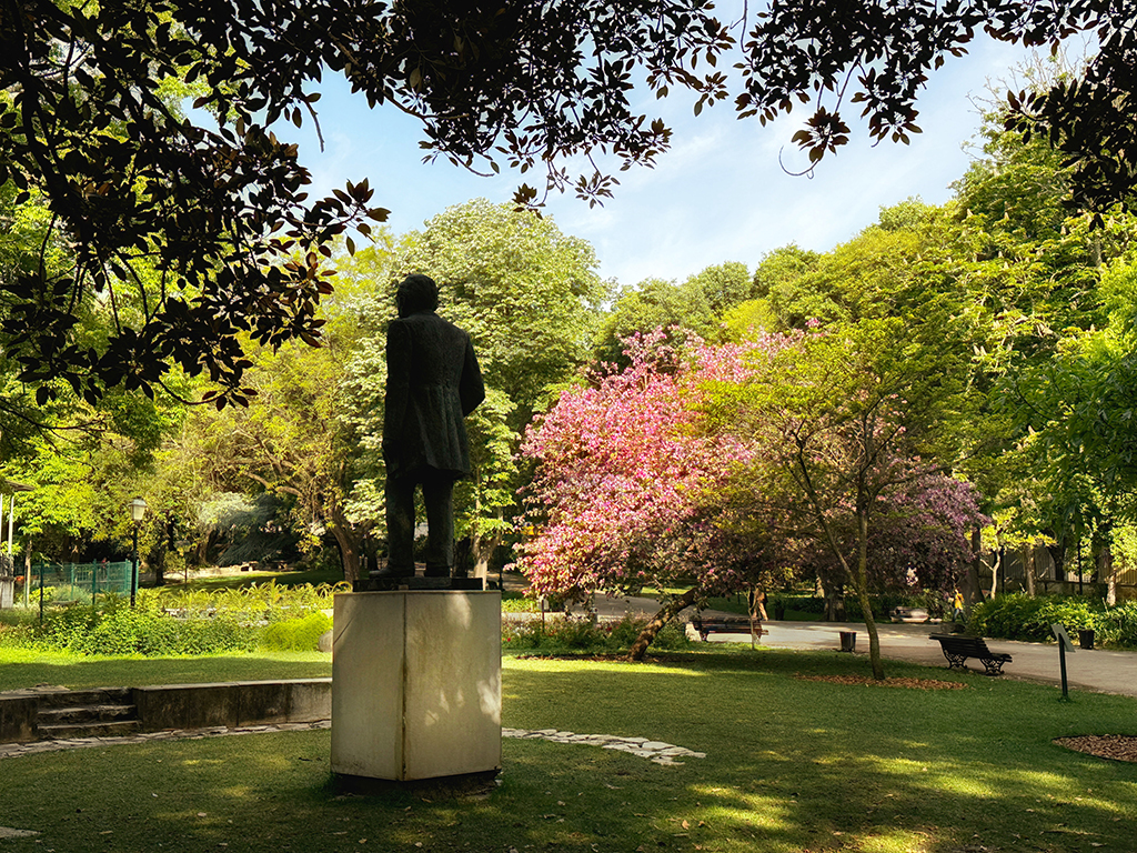 stature of man in Jardim Estrela, green all over, flowering tree in pink, where to sit in Lisbon