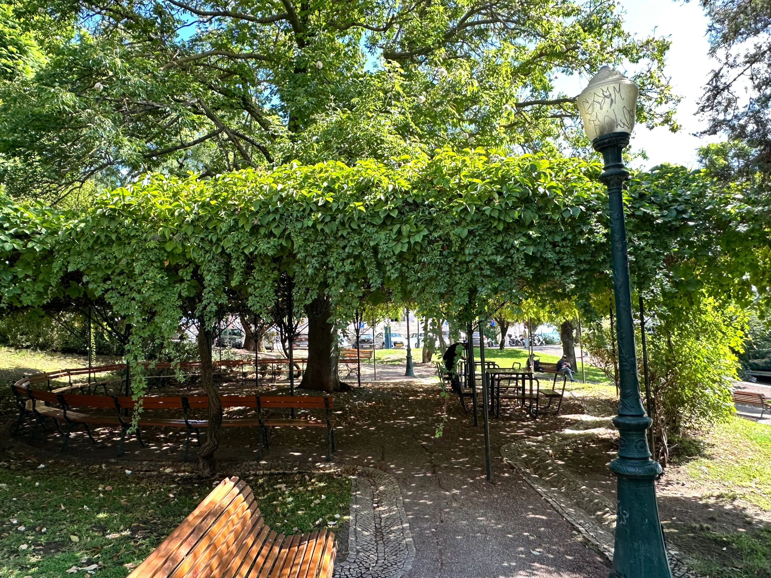 bench near plants in the jardim das janelas verdes, where to rest in Lisbon, where to sit in Lisbon