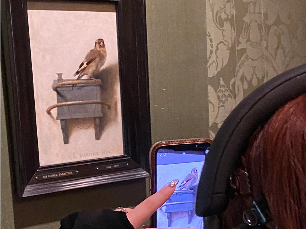 Goldfinch by Carel Fabritius, solo travel after 65