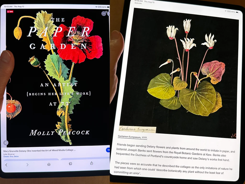 Delany flowers